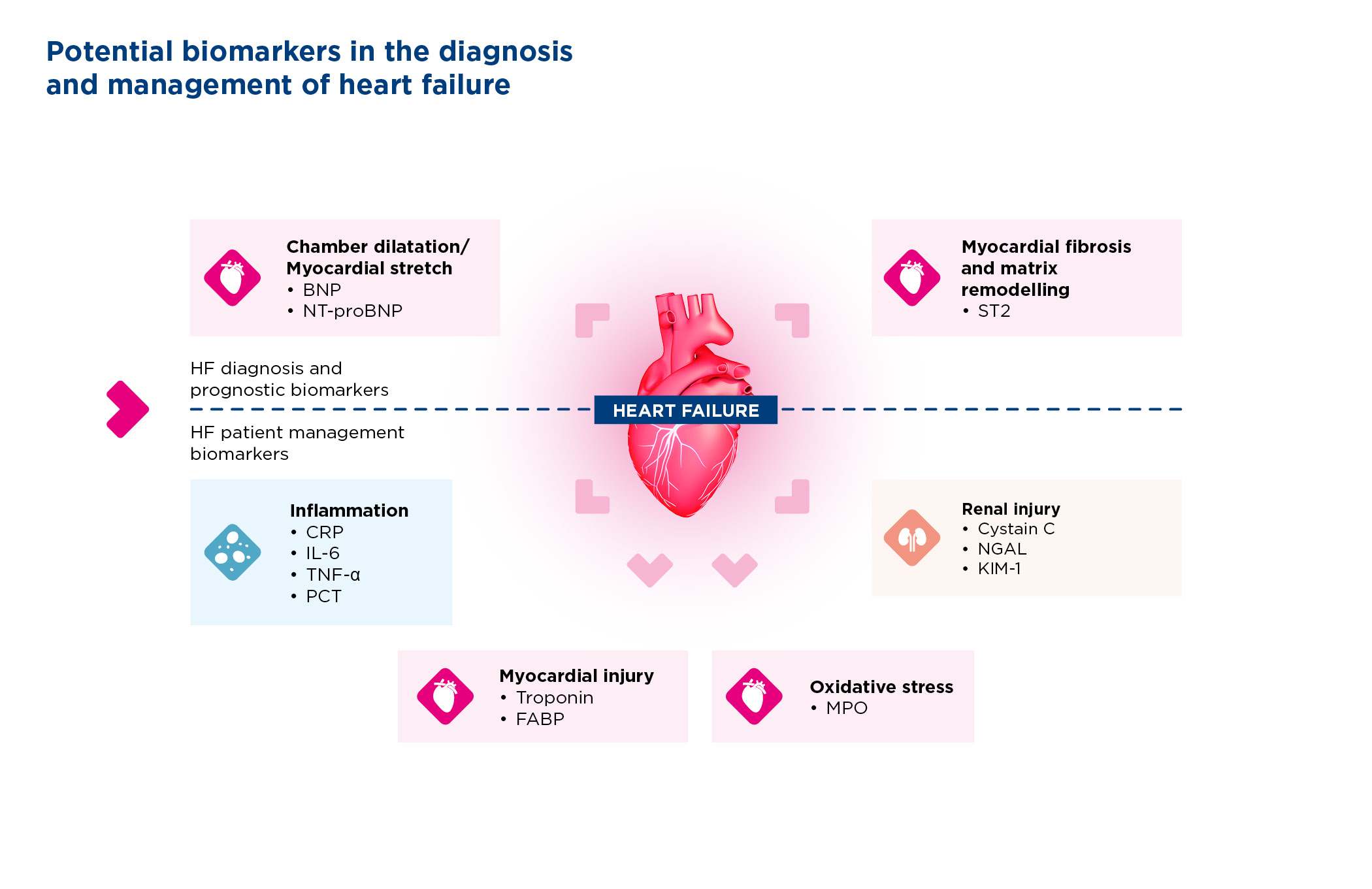 Heart Failure Markers