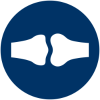 bone-metabolism.png undefined