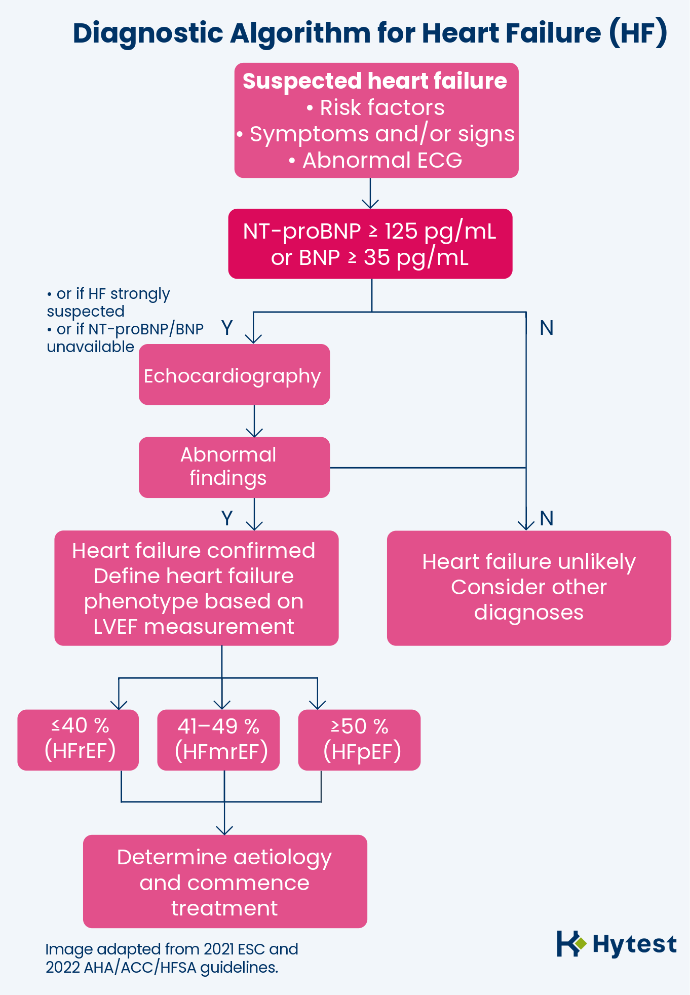 Diagnostic-algorithm-hear... undefined